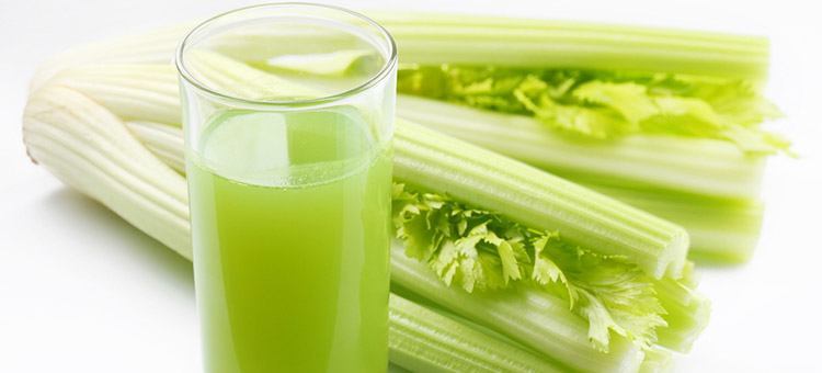Celer kadeřavý